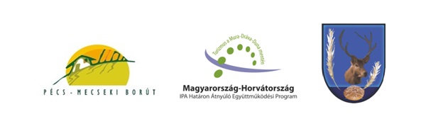 IPA Cooli magyar logó sor 1